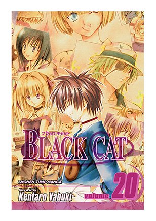 Black Cat