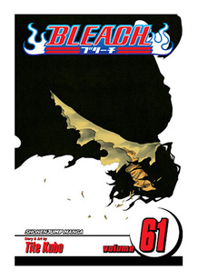 Bleach